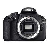 Ремонт Canon EOS 1200D Body у Львові