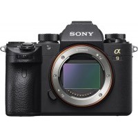 Ремонт Sony A9 у Львові