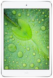 Повна діагностика для Apple iPad mini 2 у Львові