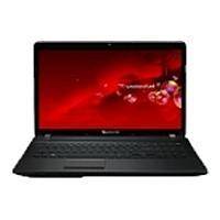 Ремонт Packard Bell easynote f4311 у Львові