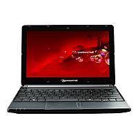 Ремонт Packard Bell dot s у Львові