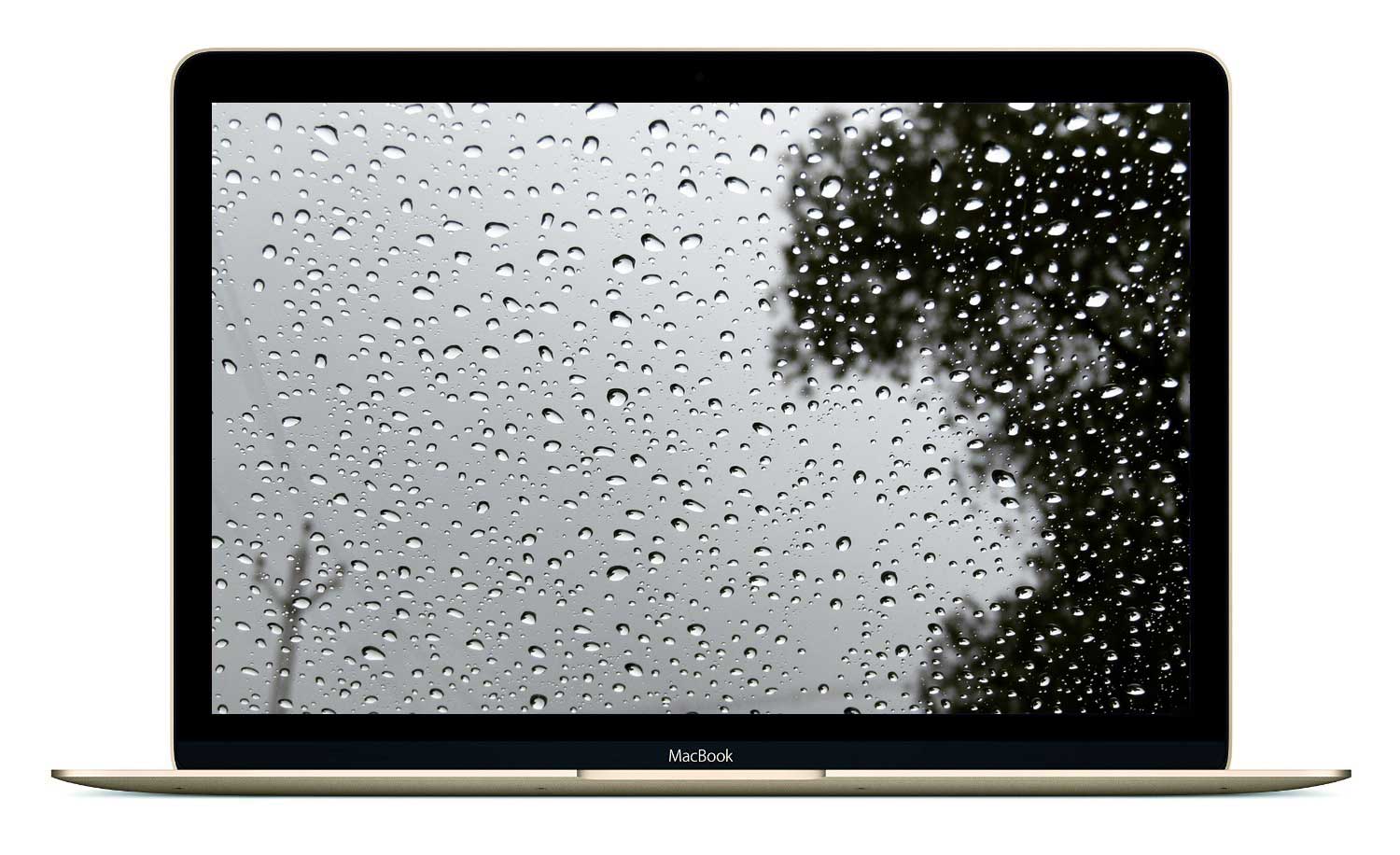 Не працює екран MacBook - фото